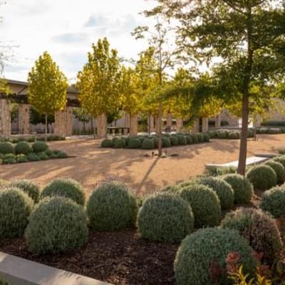 Award Winning Adelaide Landscaper 11