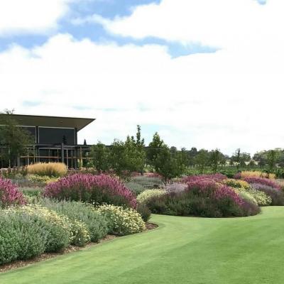 Award Winning Adelaide Landscaper 14