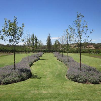 Award Winning Adelaide Landscaper 16