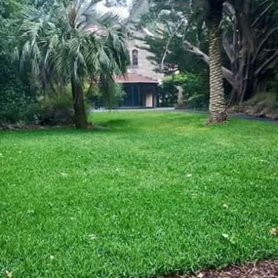 Award Winning Adelaide Landscaper 1