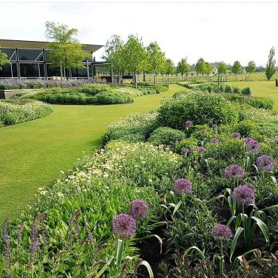 Award Winning Adelaide Landscaper 4