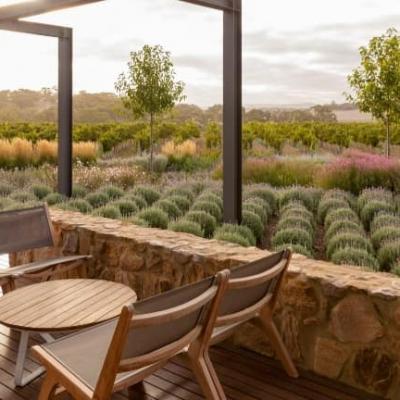 Award Winning Adelaide Landscaper 5